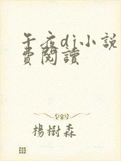 午夜dj小说免费阅读