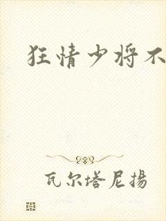 狂情少将不良妻