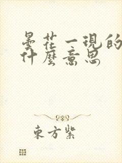 昙花一现的现是什么意思