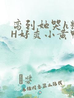 脔到她哭h粗话H好爽小黄鸭视频