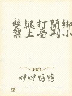 双腿打开绑在刑架上受刑小说