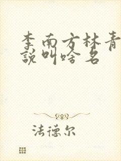 李南方林青青小说叫啥名