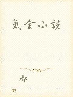 氪金小说