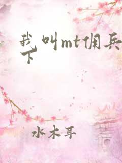 我叫mt佣兵天下