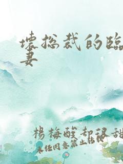 坏总裁的临时娇妻