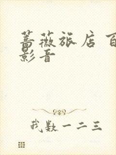 蔷薇旅店 百度影音