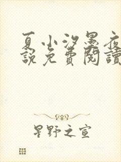 夏小汐墨夜霆小说免费阅读