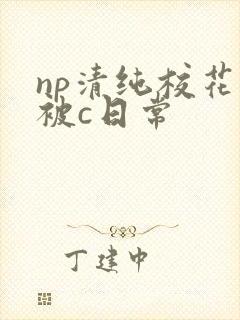 np清纯校花的被c日常