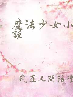 魔法少女小圆小说
