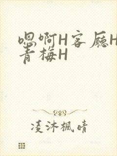 嗯啊H客厅HH青梅H