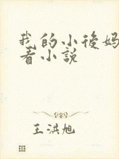 我的小后妈免费看小说
