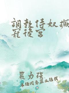 调教侍奴撅臀男宠后宫