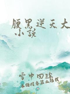 腹黑逆天大小姐 小说