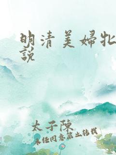 明清美妇牝户小说