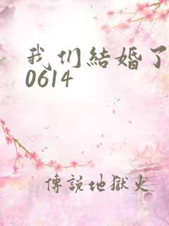 我们结婚了130614