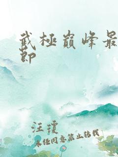 武极巅峰最新章节