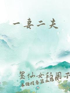 一妻二夫