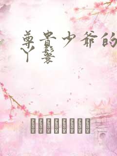 尊贵少爷的大牌丫鬟