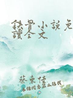 铁骨小说免费阅读全文
