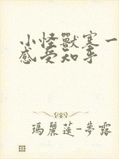 小怪兽塞一天的感受知乎