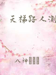 天梯路人测试器