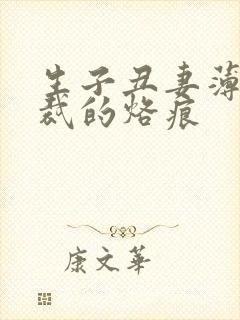 生子丑妻薄情总裁的烙痕