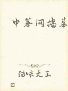 中华网揭幕内参