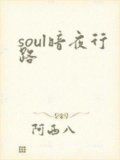 soul暗夜行路