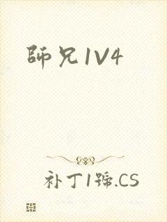 师兄1V4