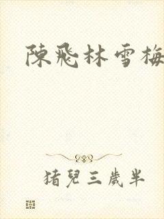 陈飞林雪梅