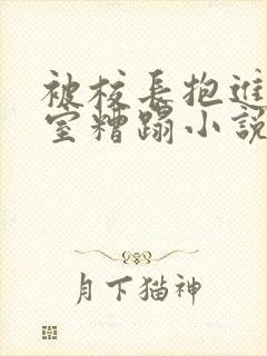 被校长抱进办公室糟蹋小说