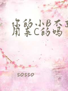 你的小B不就是用来C的吗