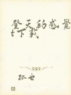 登天的感觉txt下载