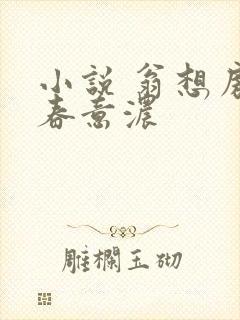 小说 翁想房中春意浓