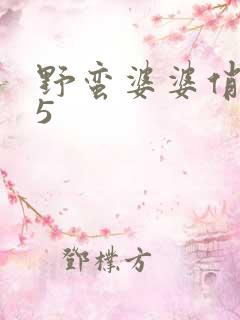 野蛮婆婆俏媳妇5