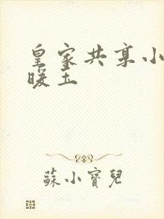 皇家共享小公主暖玉