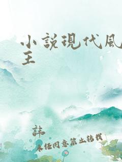 小说现代风流霸主