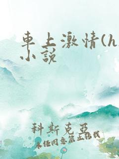 车上激情(h)小说