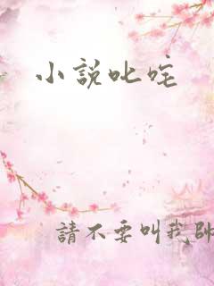 小说叱咤