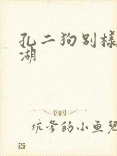 孔二狗别样的江湖