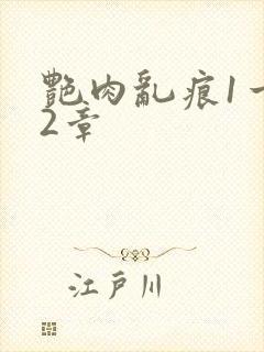 艳肉乱痕1一12章