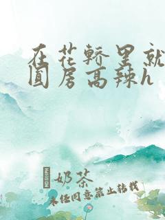 在花轿里就开始圆房高辣h