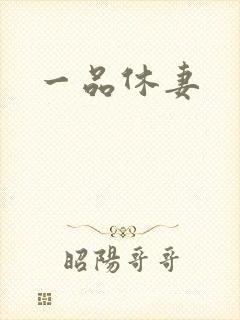 一品休妻