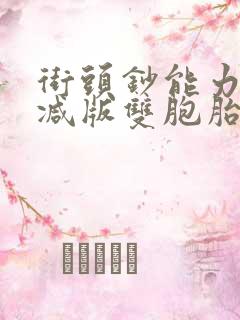 街头钞能力无删减版双胞胎