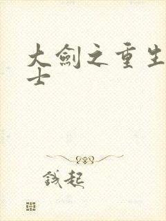 大剑之重生圣骑士