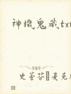 神机鬼藏txt