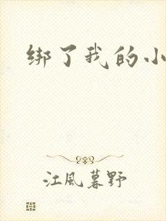 绑了我的小乖乖