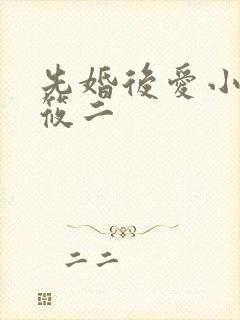 先婚后爱小说梦筱二