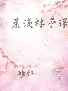 叶浅林予琛小说