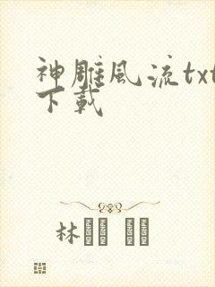 神雕风流txt下载